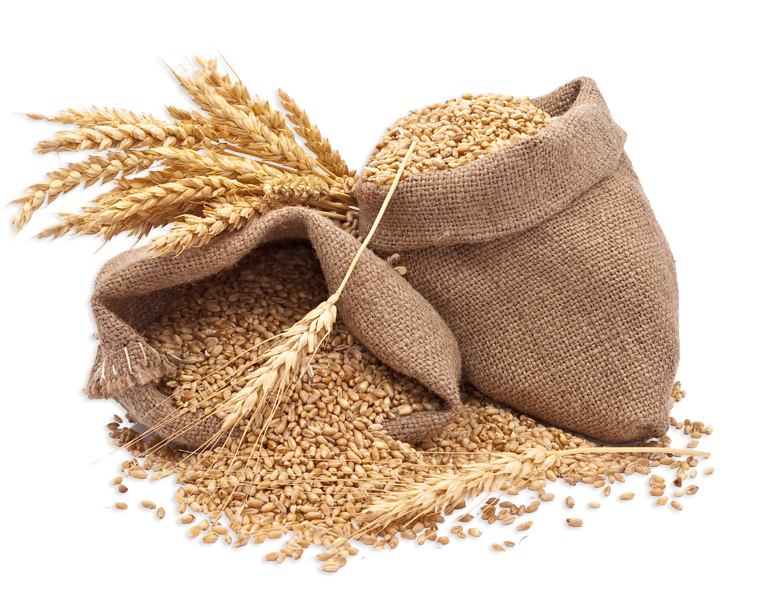 Grains & Cereals