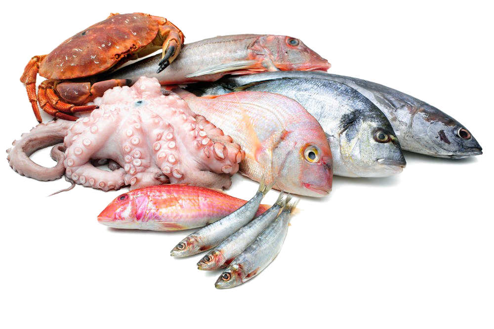 Seafood